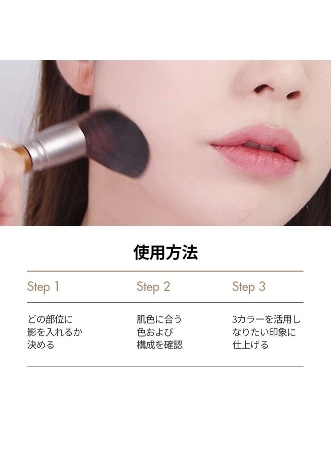 Too Cool for School - Artclass by Rodin Shading Master #1 Classic with Brush, Slimming Facial, Natural Gradation