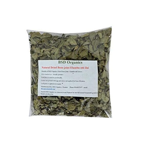 Natural Dried Bone Joint Elumbu Otti Ilai/Kooravaal Chedi/Kodali Soppu/Murikootipacha/Kolagohoma (40 Gram)