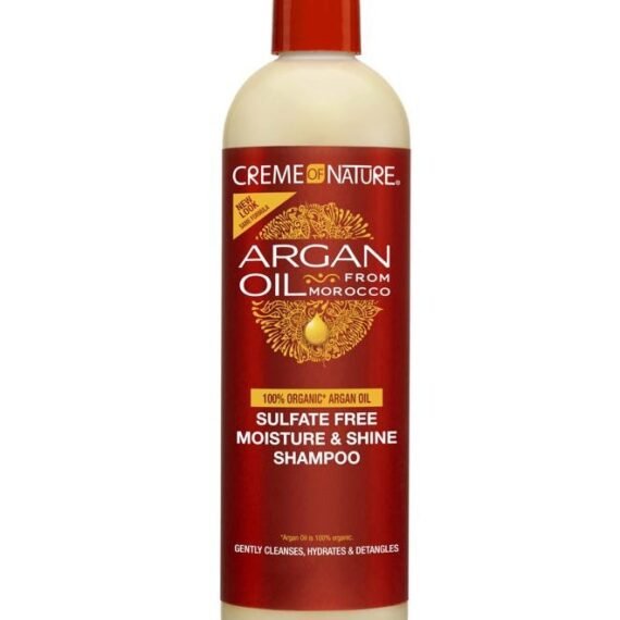 Argan Oil Shampoo, Moisture & Shine Shampoo, Sulfate Free Hair Care Formula, Nourishes, Hydrates, Detangles, 12 fl. oz.