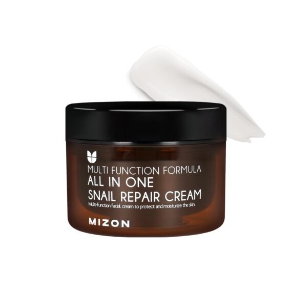 MIZON AllinOne Snail Repair Cream Korean Face Moisturizer with Snail Mucin 12 Natural Extracts Hydrating & Nourishing Cream for Fine Lines Wrinkles & Blemish Care â€“ BigPresentation(4.06 fl oz)