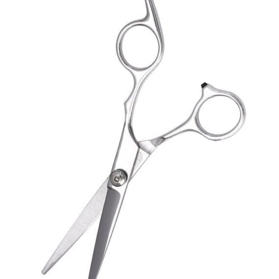 Professional Hair Cutting Barber Shears Scissor Silver 6inch
