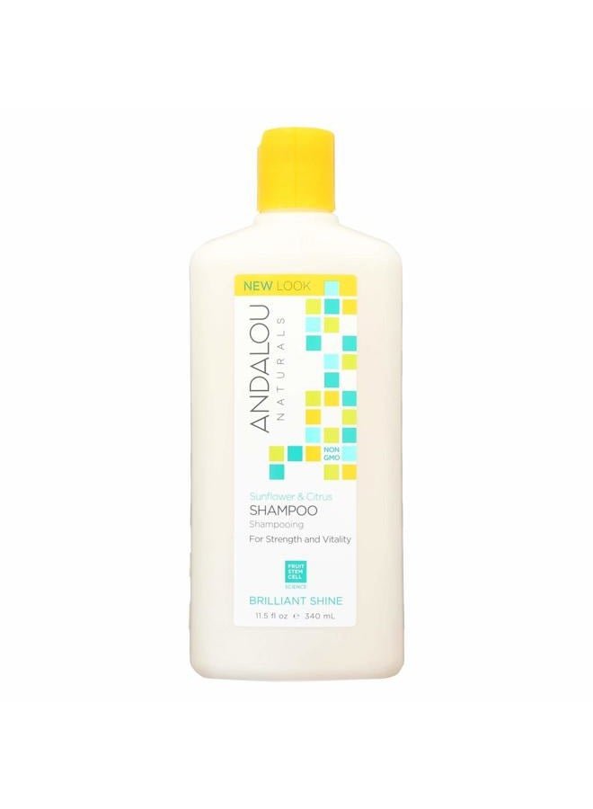 Sunflower and Citrus Brilliant Shine Shampoo, 11.5 Ounce