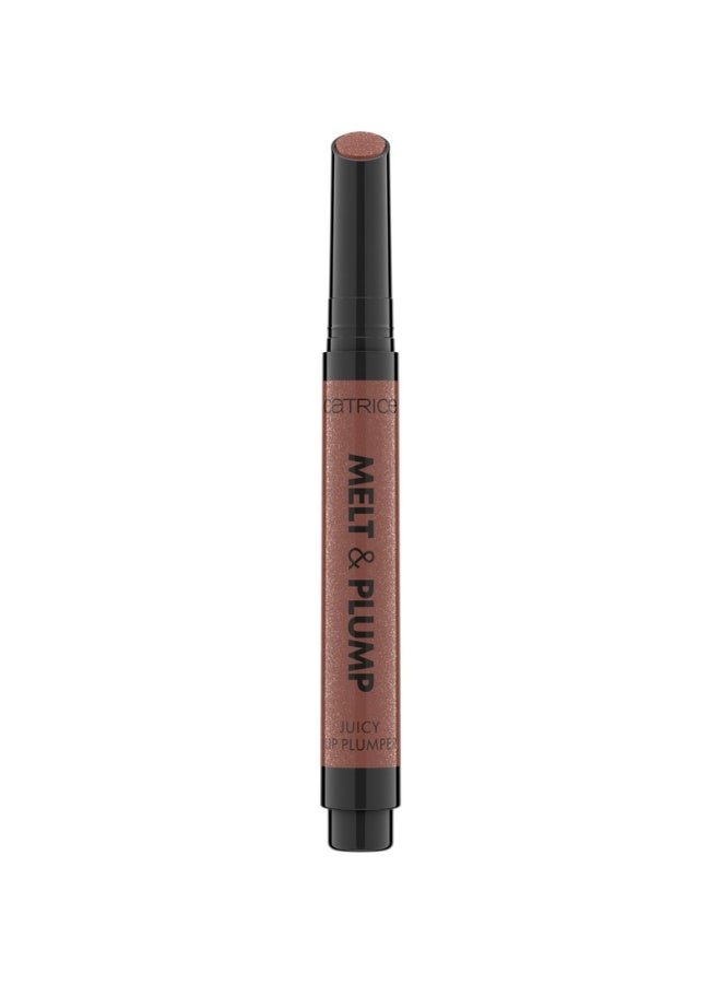 Melt And Plump Juicy Lip Plumper 030