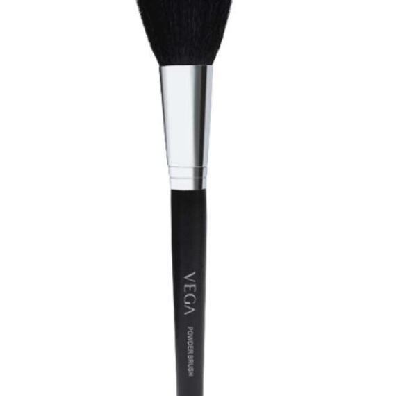 Powder Brush Black/Silver