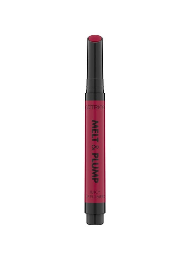 Melt And Plump Juicy Lip Plumper 040