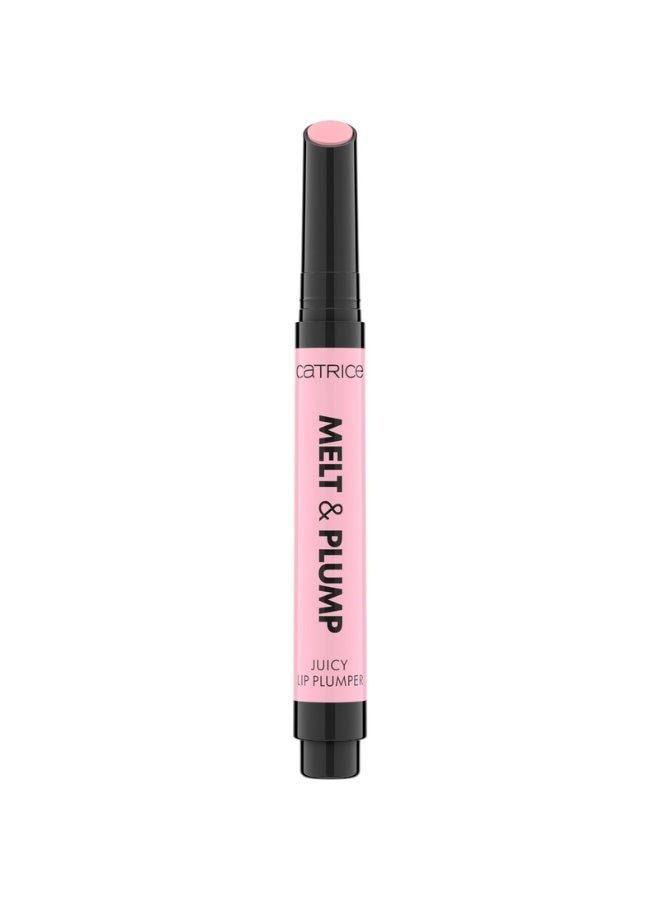 Melt And Plump Juicy Lip Plumper 010