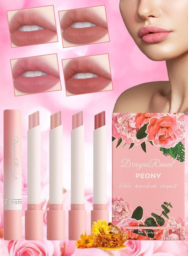 4Pcs Matte Lipstick Set Moisture Lip Glossy Waterproof Long Lasting Lip liner Set Lipstick for Women Makeup